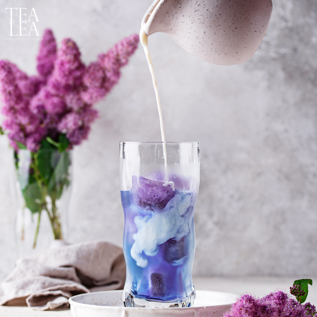 Blue Matcha (Butterfly Pea)